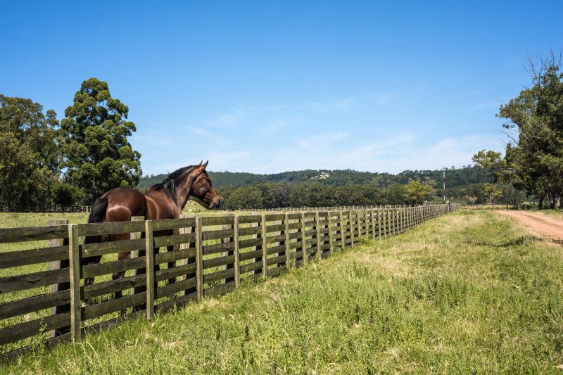 Horse Fence Replacement in Pearland, TX